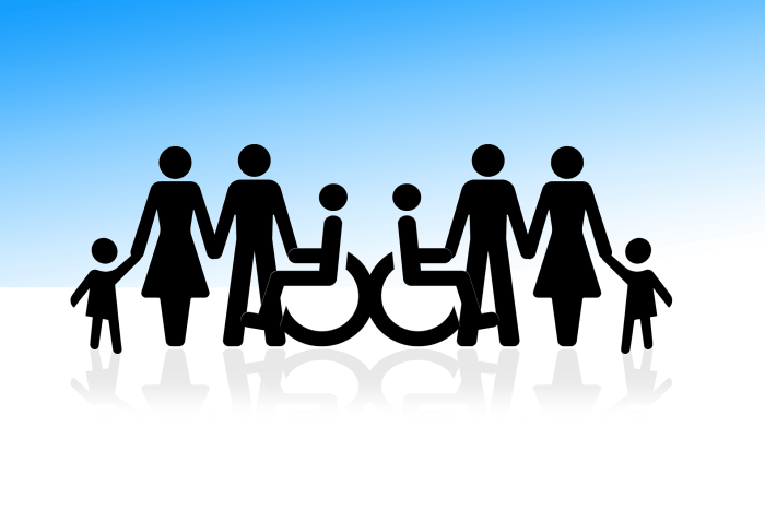 Maintaining the Integrity of the VA Disability Compensation System and Rating Schedule